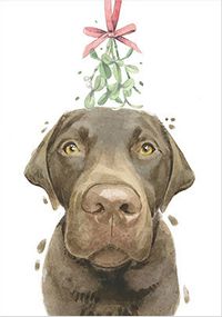 Tap to view Chocolate Labrador Christmas Card