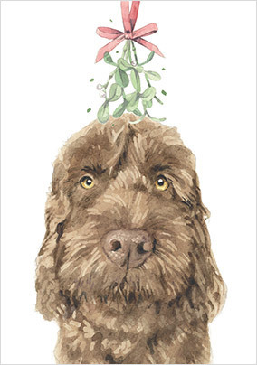 Chocolate Cockapoo Christmas Card