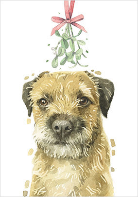 Border Terrier Christmas Card