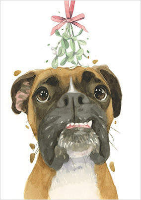 Boxer Dog Christmas Card