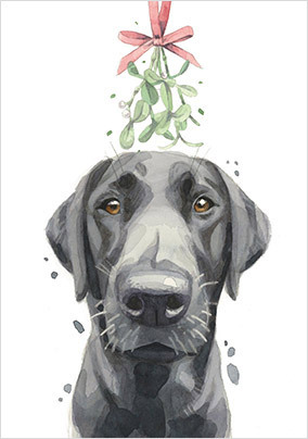 Black Labrador Christmas Card