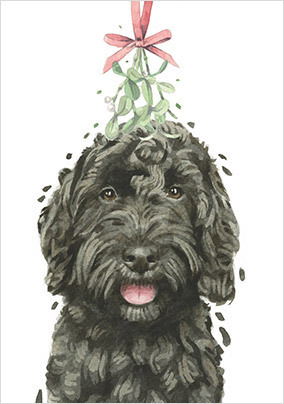 Black Cockapoo Christmas Cards