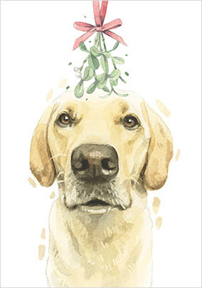 Golden Labrador Christmas Card