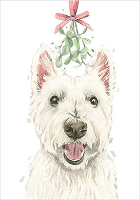 West Highland Terrier Christmas Card