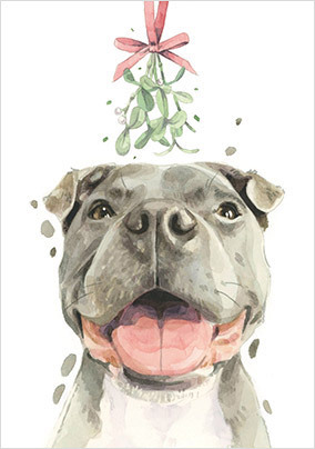Staffordshire Bull Terrier Christmas Card