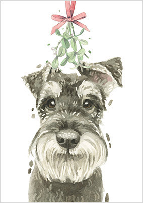 Schnauzer Christmas Card