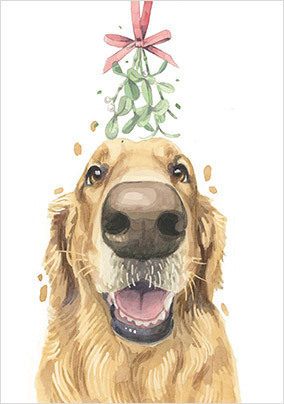 Golden Retriever Christmas Card