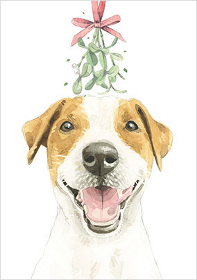 Jack Russell Cute Christmas Card