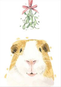 Tap to view Guinea Pig Christmas Card