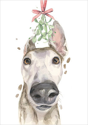 Greyhound Christmas Card