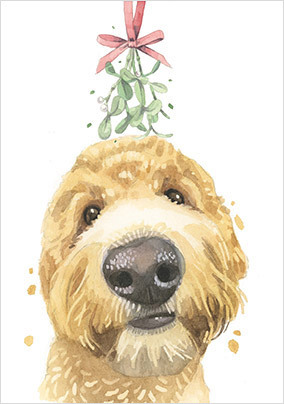 Golden Doodle Christmas Card