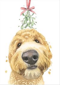 Tap to view Golden Doodle Christmas Card