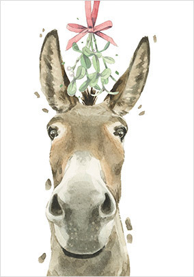 Donkey Christmas Card