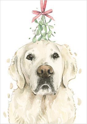 English Cream Golden Retriever Christmas Card