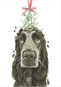 Tap to view English Cocker Spaniel Christmas Card