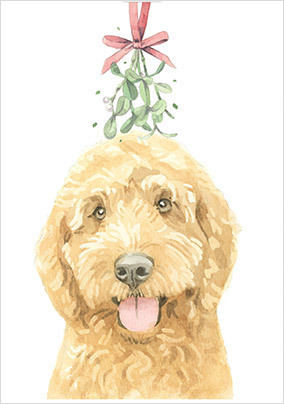 Cockapoo Cute Christmas Card