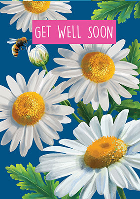 Get Well Soon Daisies Card