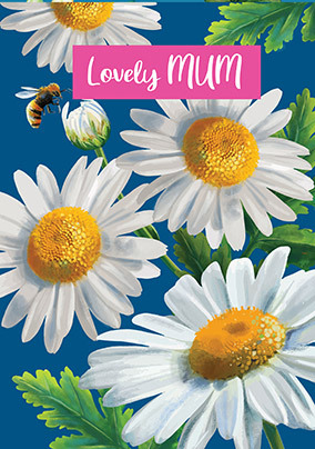Lovely Mum Daisies Mother's Day Card