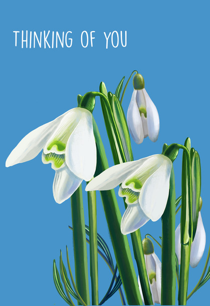 Thinking of You Snowdrops Card