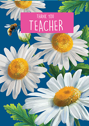 Teacher Daisies Card