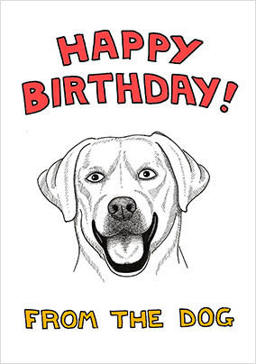 Golden Labrador Birthday Card