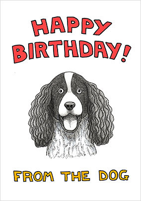 Spaniel Dog Birthday Card