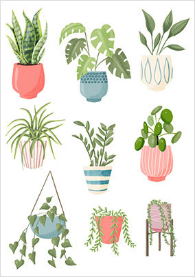 Potted Plants Card
