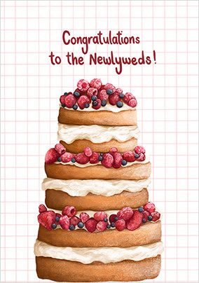 ZDICS OOL 08.05.24 Newlyweds Cake Wedding Card