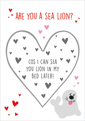 Are You A Sea Lion Secret Message Card