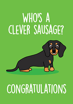 Sausage Dog Graduation Card