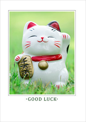 Lucky Cat Good Luck Card