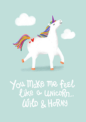 Wild and Horny Unicorn Valentine's Day Card