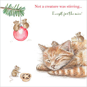 Not Stirring Christmas Card