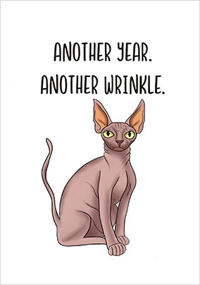 Another Wrinkle Birthday Card