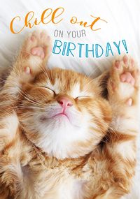 Tap to view Photographic Cat Chill Out On Your Birthday Card