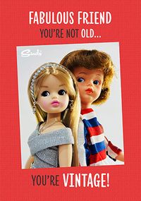 Tap to view Sindy You're Not Old You're Vintage Birthday Card