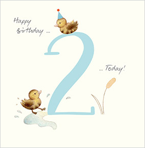 2 Today Watercolour Ducklings Birthday Card