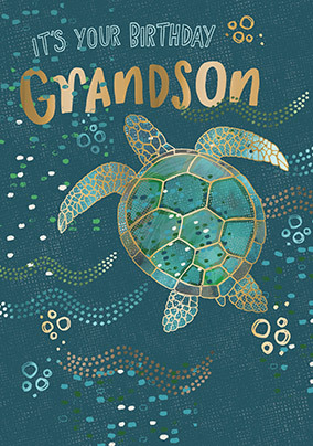 Grandson Turtle Birthday Card