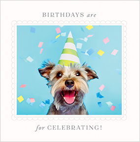Birthdays Are For Celebrating Square Card