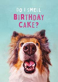 Tap to view Lucia Heffernan Do I Smell Cake Birthday Card