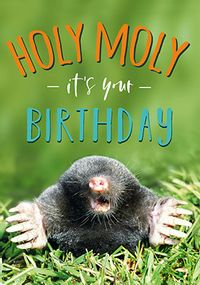 Tap to view Photographic Mole Holy Moly It's Your Birthday Card