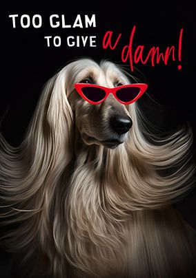 Photo of Too Glam Photographic Dog Birthday Card