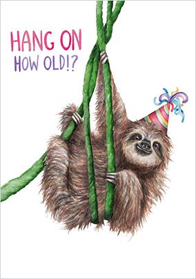 Photo of Hang On How Old Sloth Birthday Card