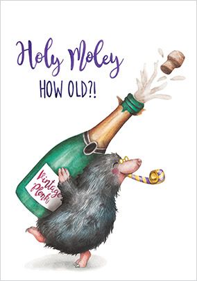 Photo of Holy Moley Birthday Card