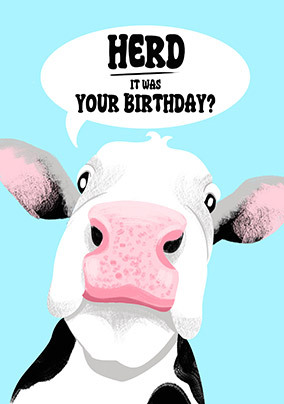 Cow Herd it's your Birthday Card