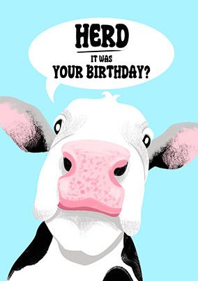 Photo of Cow Herd it's your Birthday Card