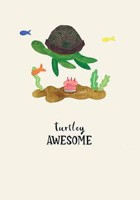 Photo of Turtle Birthday Card