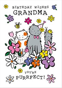 Tap to view You're Purrfect Grandma Birthday Card