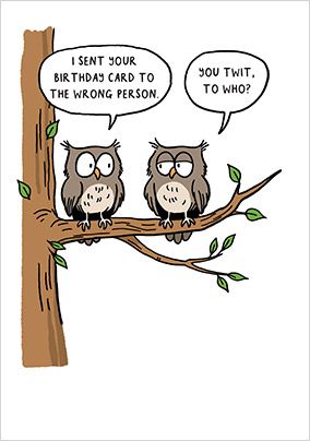 Photo of Funny Owls Birthday Card