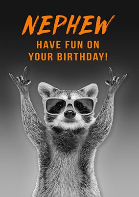 Photo of Raccoon Happy Birthday Nephew Card